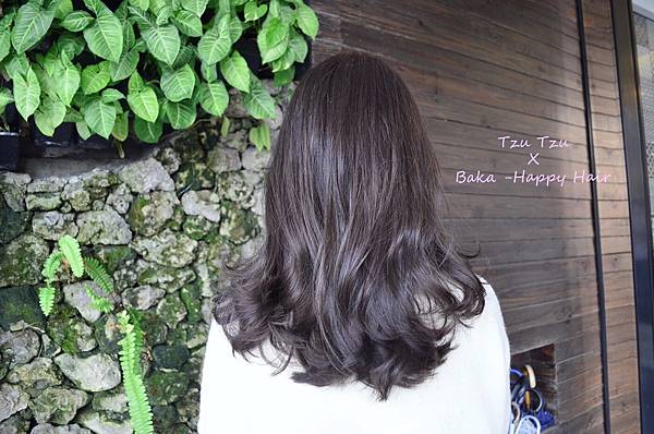 IMG_2879.JPG IMG_2879.JPG