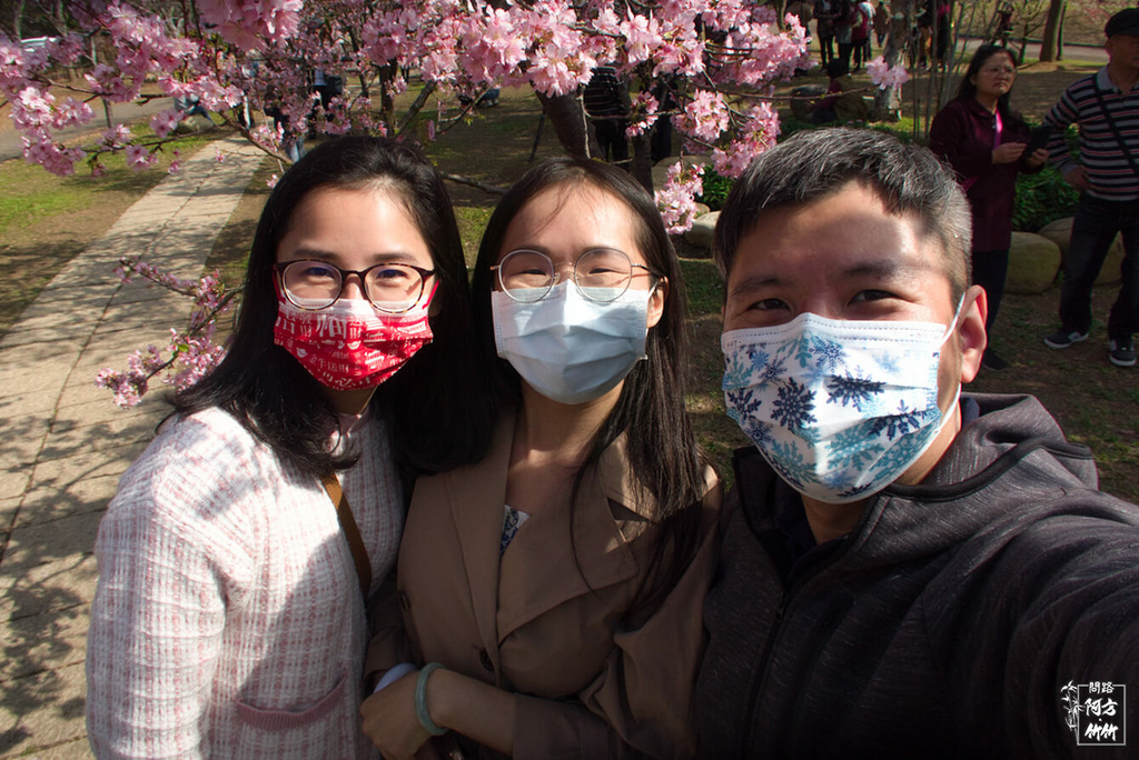 50-【台中后里區】中科崴立櫻花公園，超美櫻花雪│櫻花、李花、杏花3個願望一次滿足，分享拍攝小技巧│跟著方竹去旅行.jpg