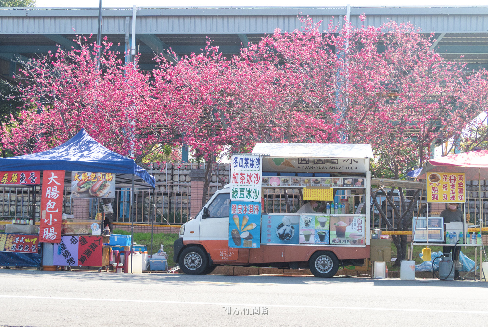 152022中科崴立櫻花公園  賞櫻免門票  八重櫻、綠萼櫻  台中景點  櫻花季台中櫻花、中科櫻花 后里櫻花2022  櫻花花期 方竹問路阿方竹竹小夫妻.jpg