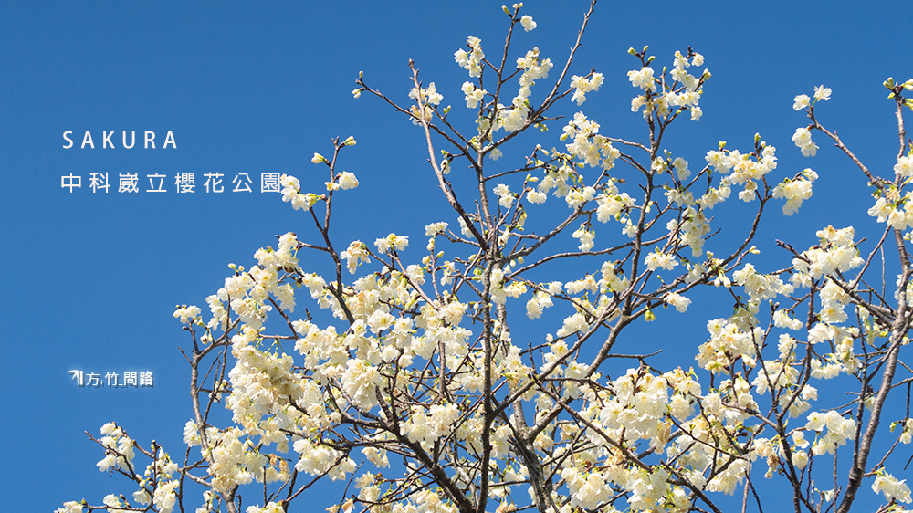 000002022中科崴立櫻花公園 賞櫻免門票 八重櫻、綠萼櫻 台中景點 櫻花季台中櫻花、中科櫻花 后里櫻花2022 櫻花花期 方竹問路阿方竹竹小夫妻.png