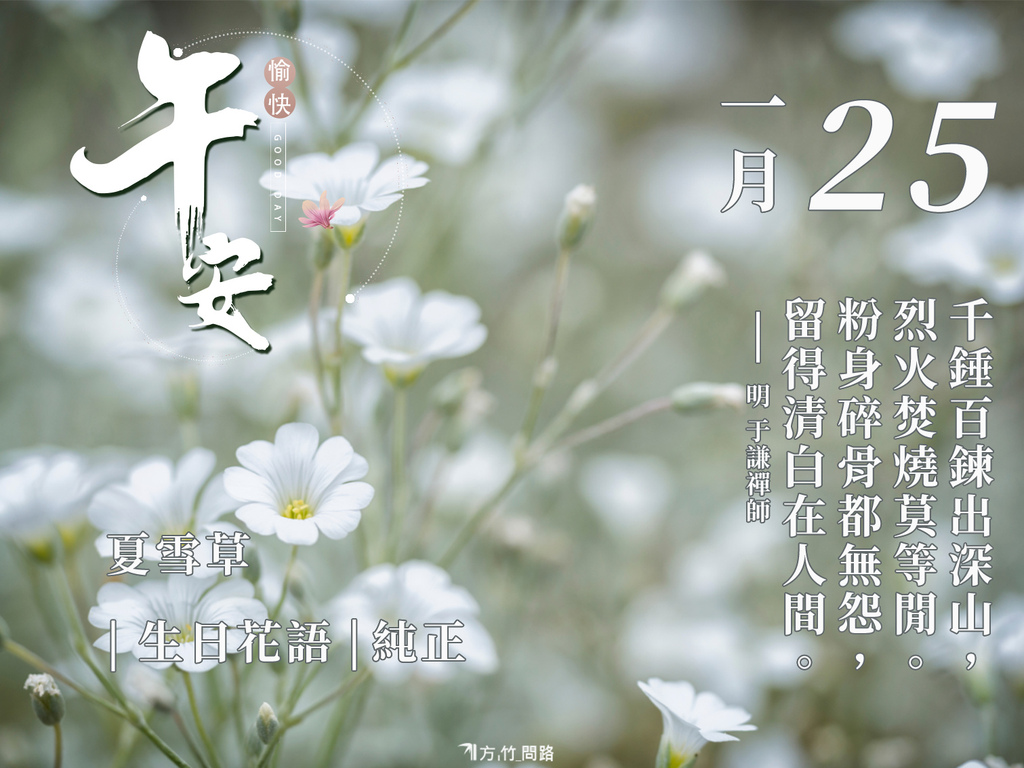 125：夏雪草（純正）-2生日花語good morning 早 安 图長輩圖早安長輩圖午安長輩圖晚安金句名言花語生日祝福語正能量金句桌布感人最新早安圖正能量#天界之舟金句天界之舟地藏道場天界之舟佛法正宗天界之舟行善濟世桌布文青日安問候圖每日一句正能量花語錄桌布