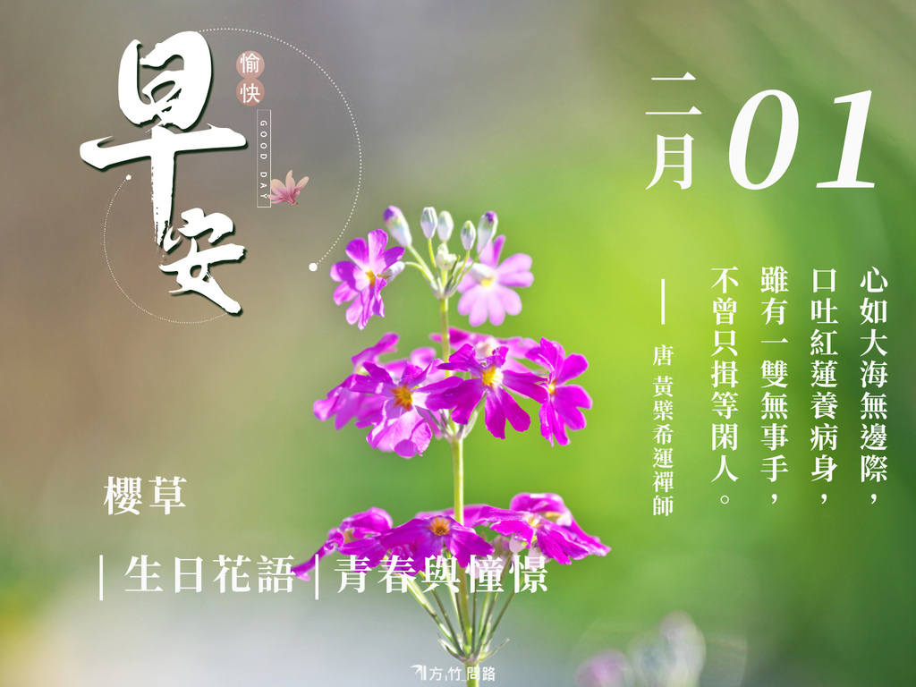 21：櫻草（青春與憧憬）-1生日誕生花 語 - 365天 金句名言│生日花語good morning 早 安 图長輩圖早安長輩圖午安長輩圖晚安金句名言花語生日祝福語正能量金句桌布感人最新早安圖正能量#天界之舟金句天界之舟地藏道場天界之舟佛法正宗天界之舟行善濟世桌布文青日安問候圖每日一句正能量花語錄桌布jpg