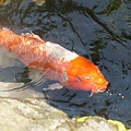 DSC02751.JPG