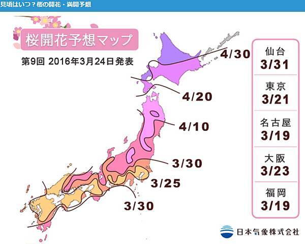 開花滿開2.jpg