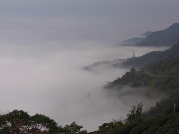 南投雲海