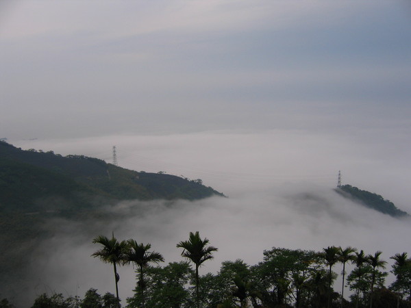 南投雲海