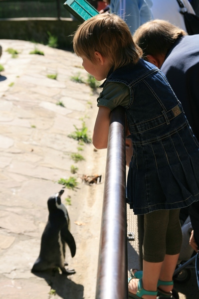 安特衛普動物園