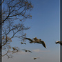 滇池海埂公園 滇池海埂公園