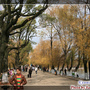 翠湖公園 翠湖公園