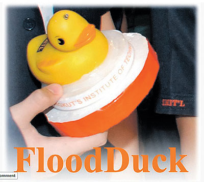 flood duck.jpg flood duck.jpg