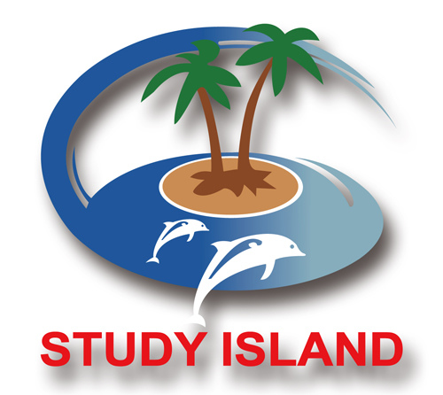 Study Island 500x500.jpg