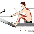 rowing-machine-exercise-step-2.jpg