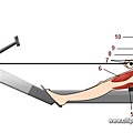 rowing-machine-exercise-step-4.jpg