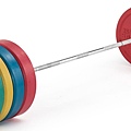 Olympic Coloured Bumper Plate-1