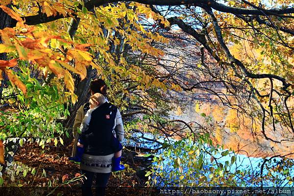 181104 teatown (998.JPG 181104 teatown (998.JPG