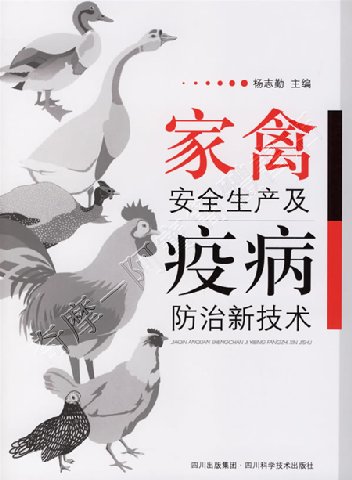 阿寶簡體書店『養殖業』…家禽安全生産及疫病防治新技術