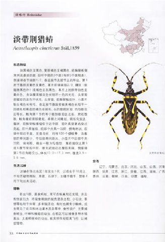 阿寶簡體書店『園藝栽培』…中國林木害蟲天地昆蟲-內頁