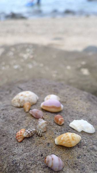 P1160319.JPG P1160319.JPG