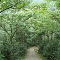 登山步道