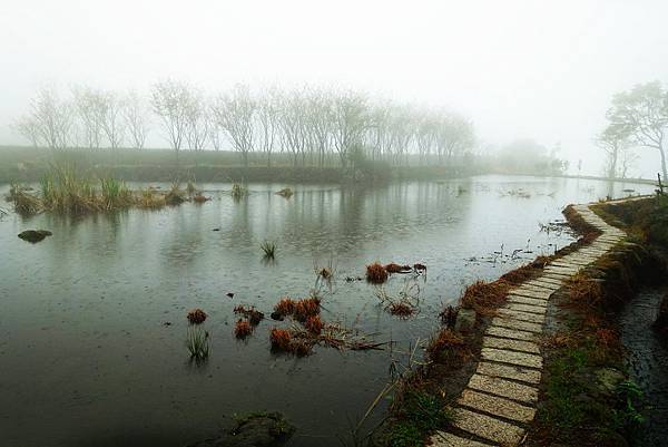 陽明山 出霧溫泉 Tsuwu Hot Spring