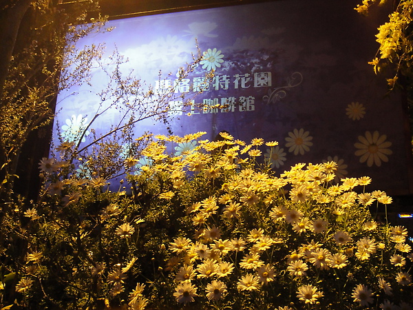 DSC01216_調整大小.JPG