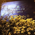 DSC01216_調整大小.JPG