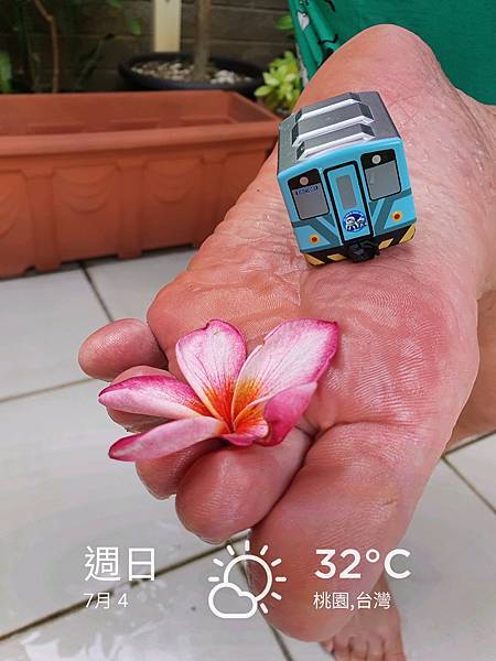 紅花緬梔 + Q版迴力小列車 台鐵迴力車 台鐵DR1000型柴油車 進化1001號外星人彩繪車 紅花緬梔 + Q版迴力小列車 台鐵迴力車 台鐵DR1000型柴油車 進化1001號外星人彩繪車