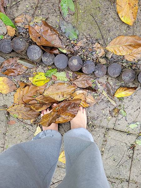 腳與樹葉，你的腳有跟樹葉拍過照嗎? 一定沒有