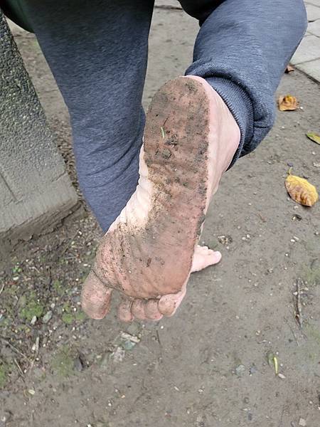 【萬物從土地而生,從土地獲取能量】 【萬物從土地而生,從土地獲取能量】