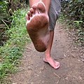 赤腳爬山最輕鬆，雙腳就是最棒的登山鞋。