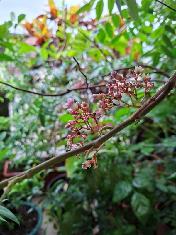 晚安打卡圖，2025.10.28，一枕清風明月，半山孤覺煙霞