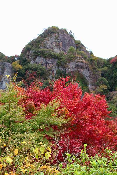 耶馬溪 競秀峰