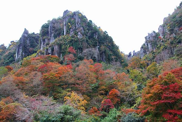 一目八景