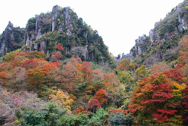 一目八景