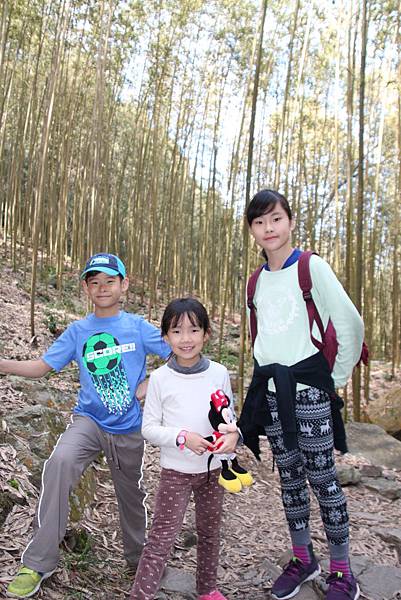 八仙山國家森林遊樂區