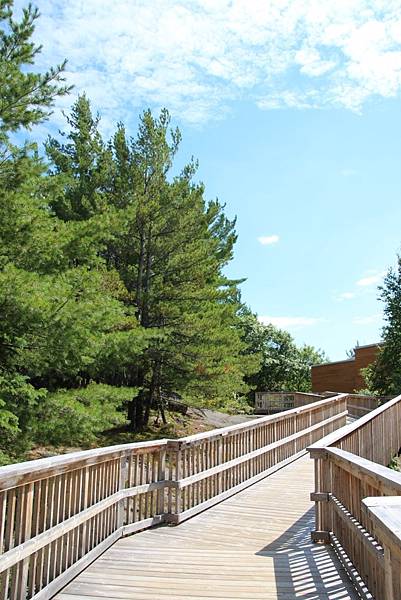 Algonquin Provincial Park 