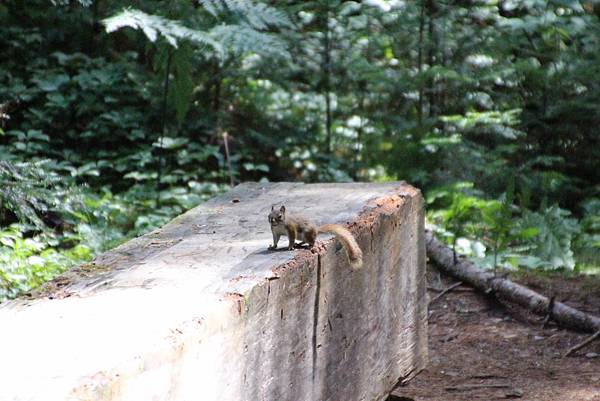 Algonquin Provincial Park 