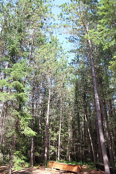 Algonquin Provincial Park 