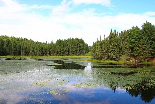 Algonquin Provincial Park 