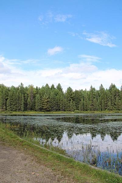 Algonquin Provincial Park 