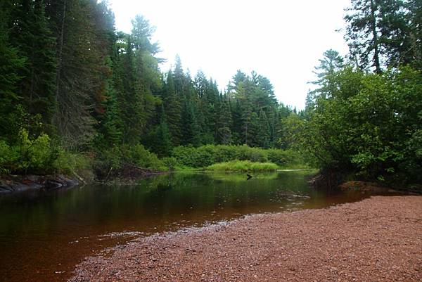 Algonquin Provincial Park 