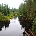 Algonquin Provincial Park 