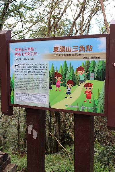 東眼山國家森林遊樂區