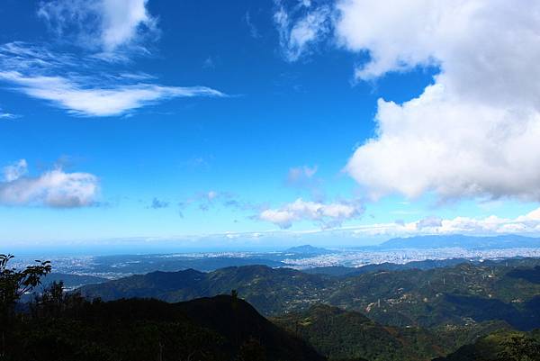 東眼山國家森林遊樂區