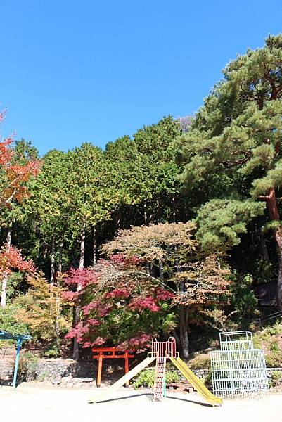 高野山