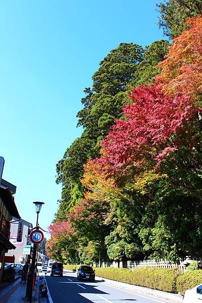 高野山