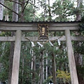 飛瀧神社