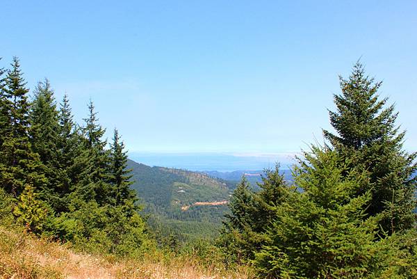 OLYMPIC NATIONAL PARK