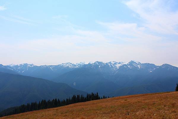 HURRICANE RIDGE