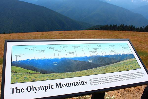 HURRICANE RIDGE